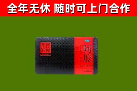 宁阳县回收阿胶